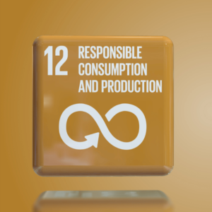 Objetivo de Desarrollo Sostenible 12 (Sustainable Development Goal 12)